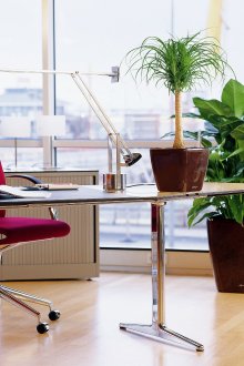 Интериор на офис с живи растения