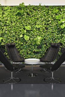 Стена с живи растения в работното пространство