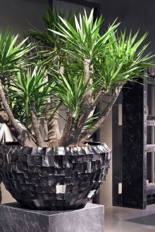 Растенията правят интересен минималистичен интериор