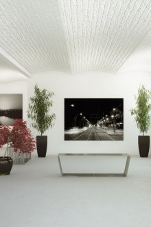 Изложбено пространство с живи стайни растения