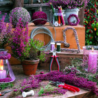 Хедър в декор