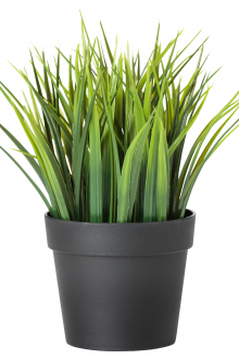 Изкуствена трева в саксия за декорация на апартаменти