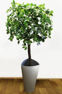 Саксийно високо изкуствено растение