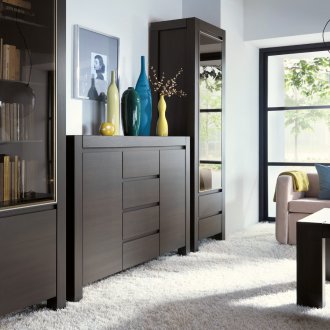 Рафт венге в хола