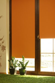 Щори Blackout Roller