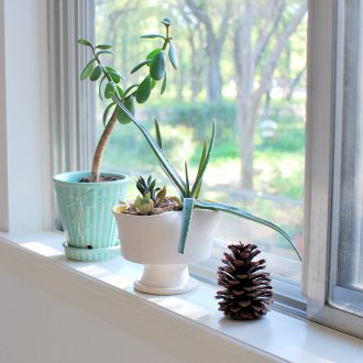 Декоративно покритие върху перваза на дървен прозорец