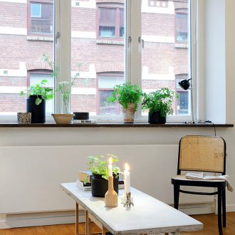 Blumen am Fenster ohne Vorhänge