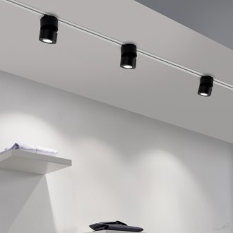 검은 천장 반점