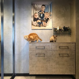 Скрин във входното антре