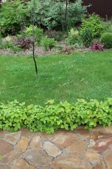 아름다운 돌 정원 길