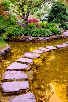 연못을 가로지르는 돌 정원 길