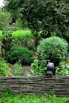 꽃과 식물 장식용 고리버들 울타리