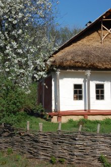 여름 거주지를위한 낮은 고리 버들 울타리