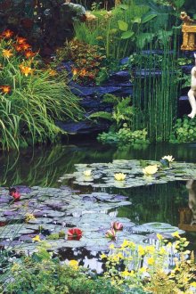 장식용 연못의 아름다운 물침대