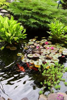 정원의 원래 물침대