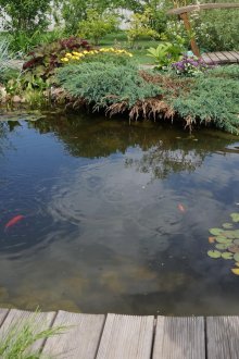 물 침대와 물고기가 있는 정원 연못