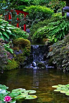 물침대가 있는 중국식 연못