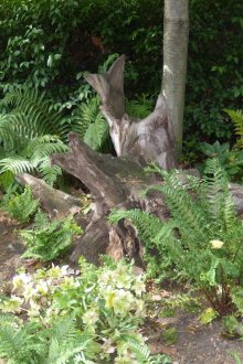 정원의 루타리아