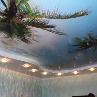 Опънат таван с фотопечат на палми
