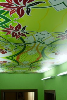 Опънат зелен таван с фотопечат