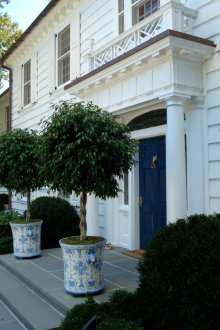 Дървета на верандата на къща