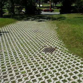 Трава пътека