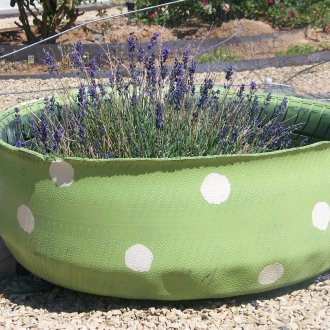 Саксии за градински гуми