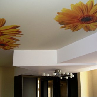 Матов печат на тавана