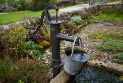 Abyssinian well