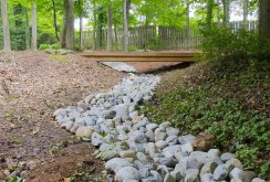 Wetland drainage