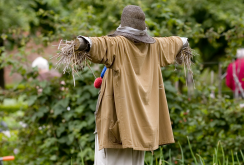 Scarecrow for the garden