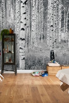 Wall mural with birch for hallway