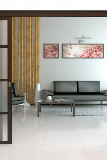 Плъзгаща се тъмна врата