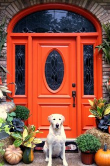 Оранжева врата към къщата