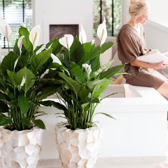 Decoration with balloons and flowers