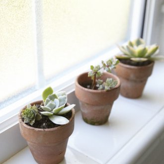 Blumen auf der Fensterbank im Schlafzimmer