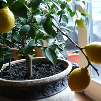 Спално бельо с цветя