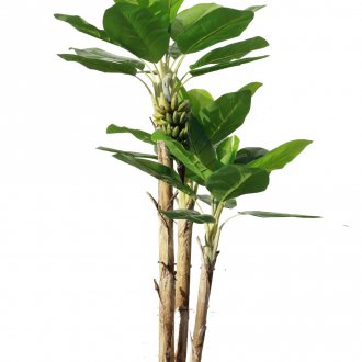 Декор на входната врата с цветя