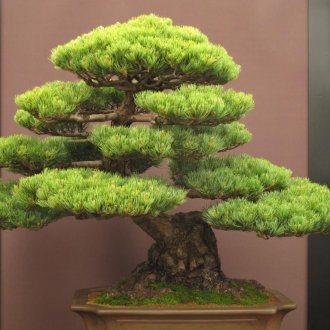 3D завеси с цветя