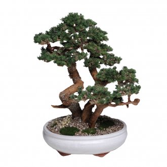 Цветен дуплекс тапет