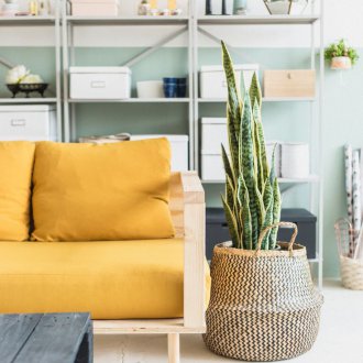 Дървен жълт диван