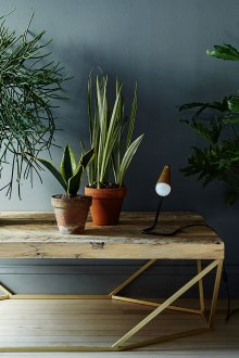 Вътрешните дървета и цветя могат да заемат безплатна маса.