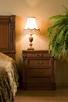 Папрат в спалнята