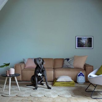 Кафяв светъл диван