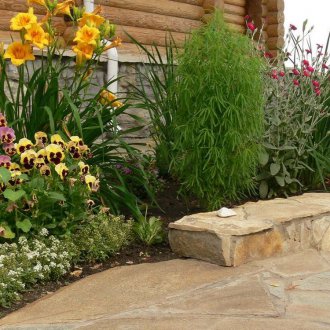 Кохия в къщата