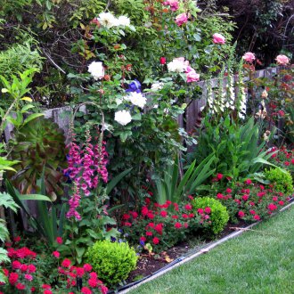 Многогодишен флокс в декора на градината