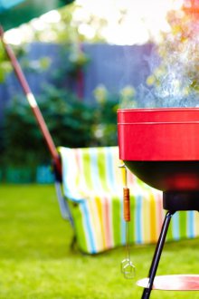 Барбекю фурна