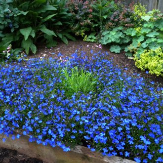 Aubriet Landing