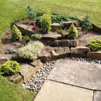 Иглолистна скала