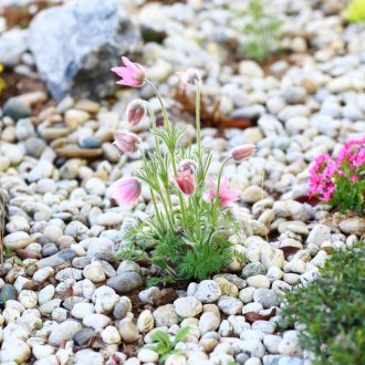 Малка скала